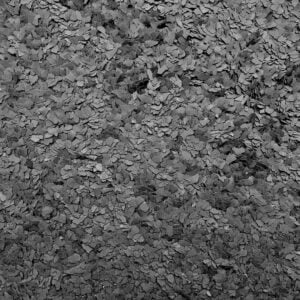 Kleurvlok Signaalzwart